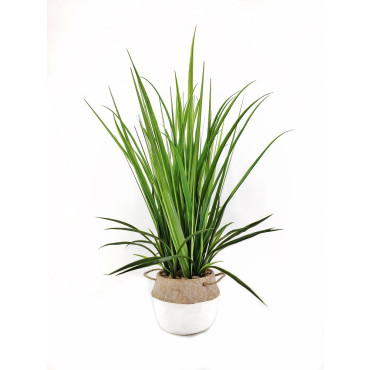 Artificial Grass in Cement Pot 76cm