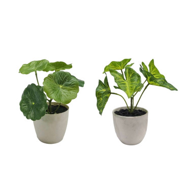 Set 2 Artificial Taro & Lotus Plant In Plastic Pot 7x15cm