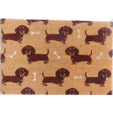 Dashie Bone Doormat 60x40cm