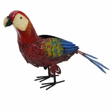 Peter Parrot Garden Ornament 54x35cm