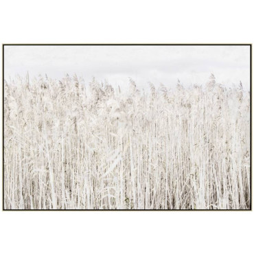 Pampas Grass Framed Canvas Wall Art 120cm