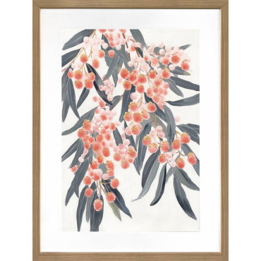 Australiana Artwork Framed W Glass Front 60x80cm