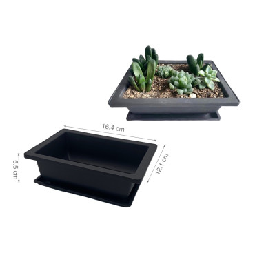 bulk 24 Bonsai Succulent Planter w Tray 16cm