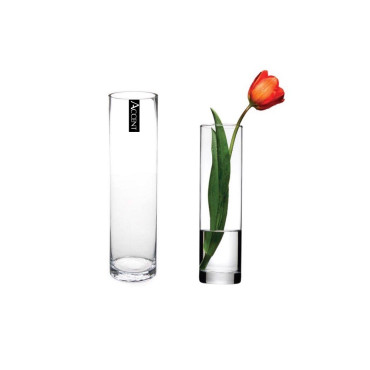 bulk 12 Glass Cylinder Vase Flower 20cm