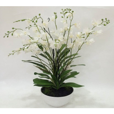 Artificial Orchid in White Pot 50cm